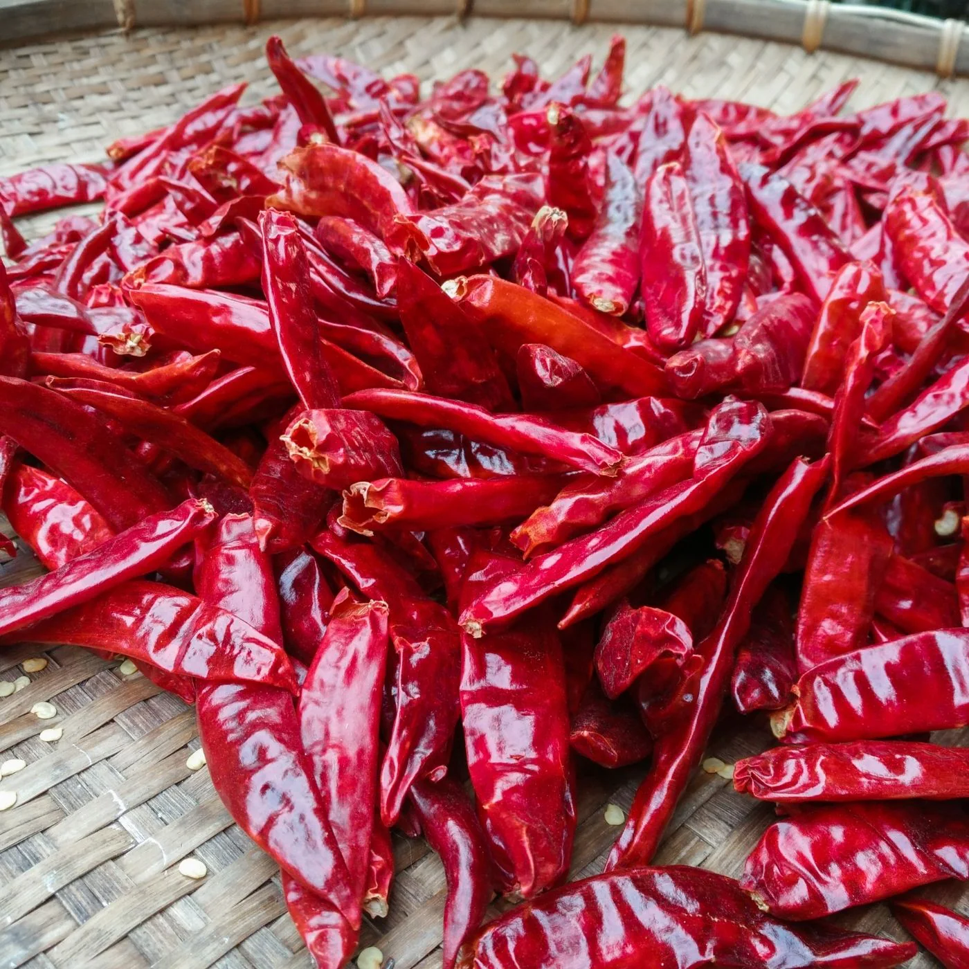 Dried Red Chilli (Sabut Laal Mirch)